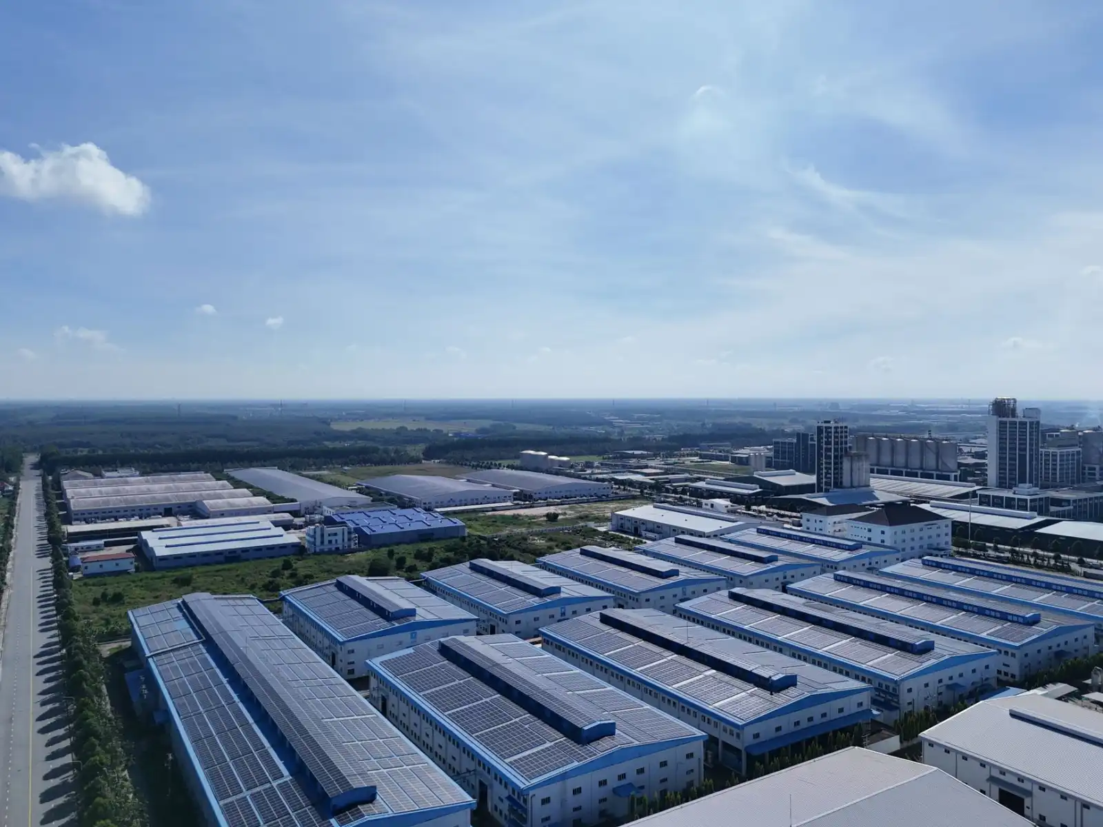 2025年商贸流通领域供应链管理数字化转型趋势解析