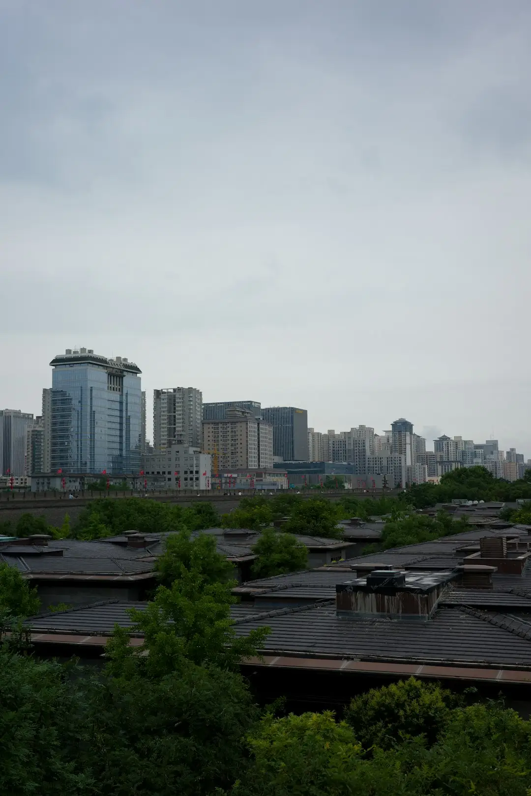 2025年商贸流通领域供应链管理信息化趋势分析