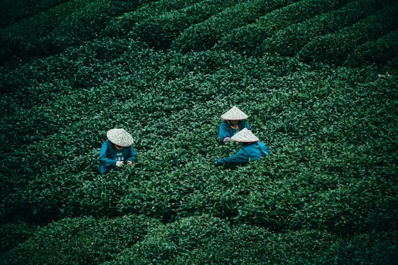 信息化支撑下的贸易服务变革：商易科技的产品实践路径