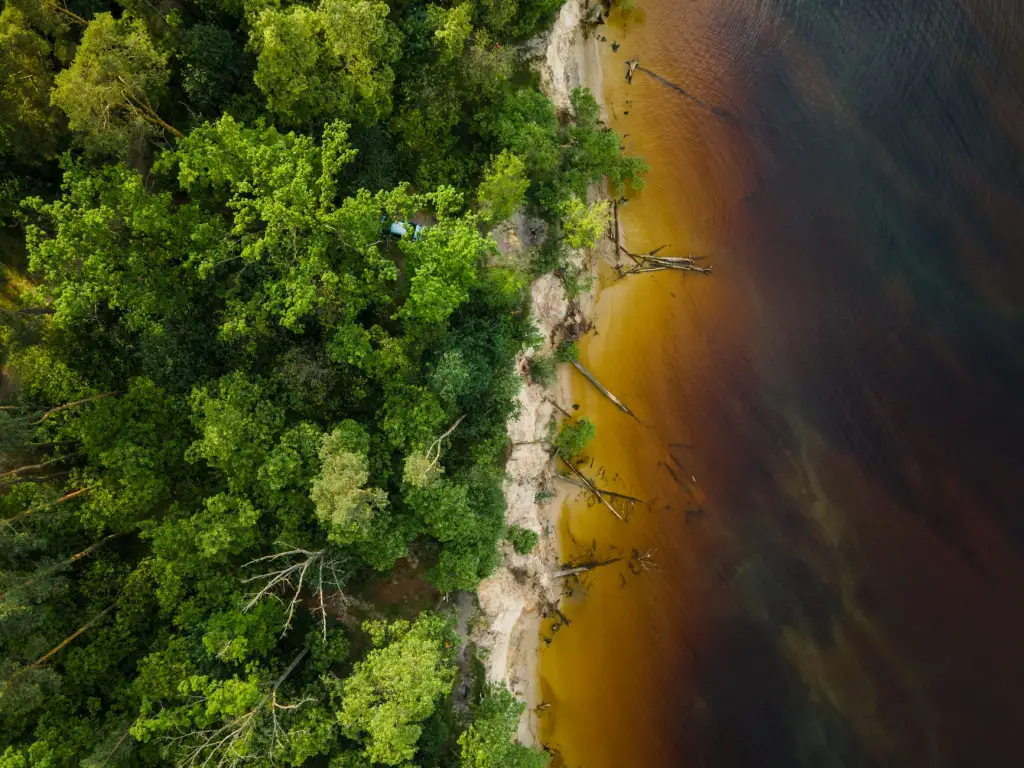 从订单到结算：商贸企业供应链管理平台的核心功能对比